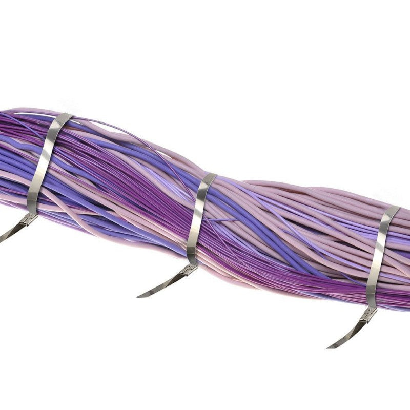 Confezione da 100 Fascette Stringicavo Autobloccanti in Acciaio Inox 4,6 X 200 MM