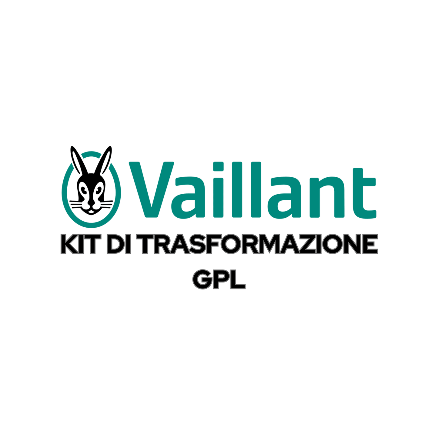 Kit di trasformazione GPL da metano a PROPANO per caldaia a CONDENSAZIONE Vaillant eco TEC Pure - Elettrohub.it