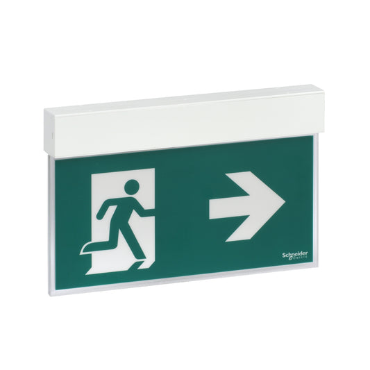 Plafoniera - Lampada d'emergenza a bandiera Schneider Exw Easysign Std SE-SA 24m 1,5h